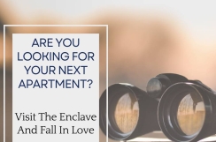Are You Looking For Your Next Apartment? Discover The Enclave!